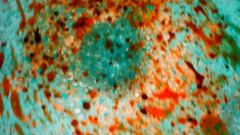 Kaleidoscope of Colors Video stock 77126527