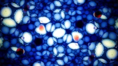 Kaleidoscope of Colors Stockbeeldmateriaal 77133111
