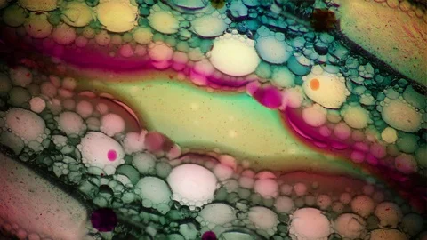 Kaleidoscope of Colors Video stock 77134237