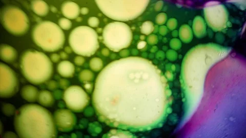 Kaleidoscope of Colors 스톡 동영상 77134341