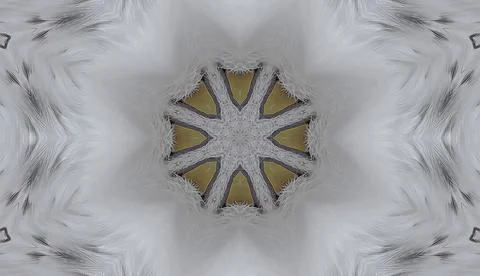 Kaleidoscope composition pattern from polar owl portrait Stock Illustration