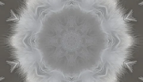 Kaleidoscope composition pattern from polar owl portrait Stock Illustration