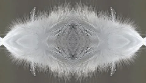 Kaleidoscope composition pattern from polar owl portrait Stock Illustration