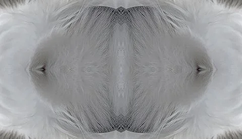 Kaleidoscope composition pattern from polar owl portrait Stock Illustration