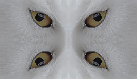Kaleidoscope composition pattern from polar owl portrait Stock Illustration