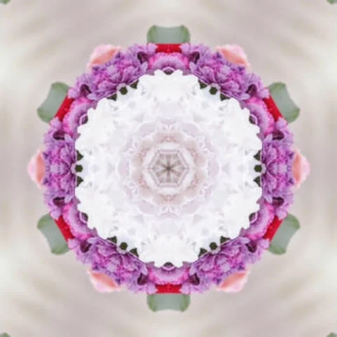 Kaleidoscope floral circular pattern Circle geometry Seamless Stock Footage 227527604