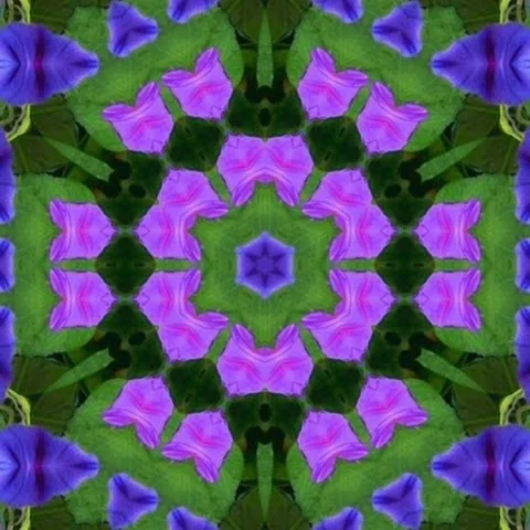 Kaleidoscope floral pattern design background,seamless Stock Footage 227317031