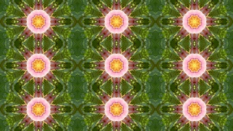 Kaleidoscope flower pattern background Stock Footage 93394109
