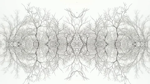 Kaleidoscope Stock Footage 123014212