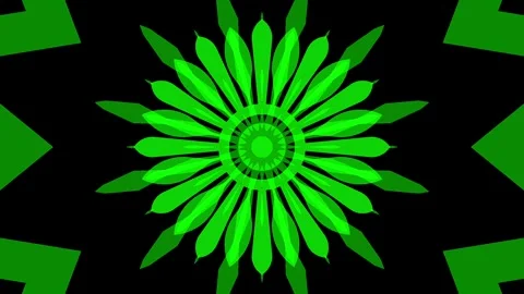 Kaleidoscope green Stock Footage 319838556