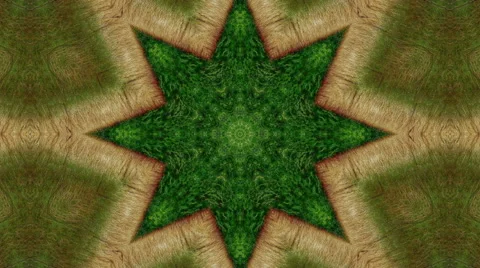 Kaleidoscope green tree Stock Footage 43133943