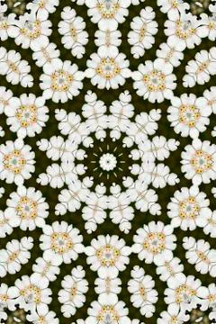 Kaleidoscope illusion Stock Illustration