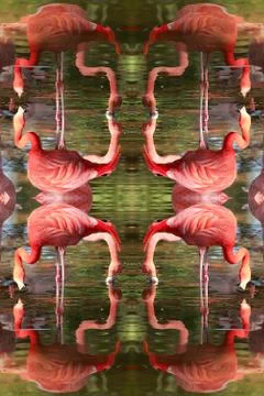 Kaleidoscope illusion Stock Illustration