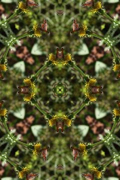 Kaleidoscope illusion Stock Illustration
