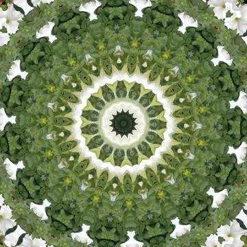 Kaleidoscope Stock Illustration