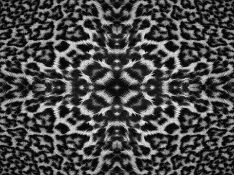 Kaleidoscope Leopard Fur Pattern Black and white kaleidoscope leopard fur ... Stock Photos