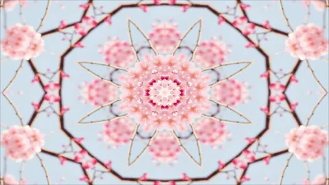 Kaleidoscope Loop Stock Footage 193828420