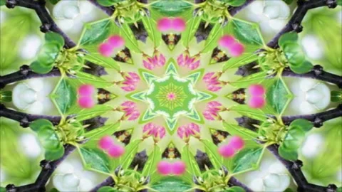 Kaleidoscope Loop Stock Footage 193829440