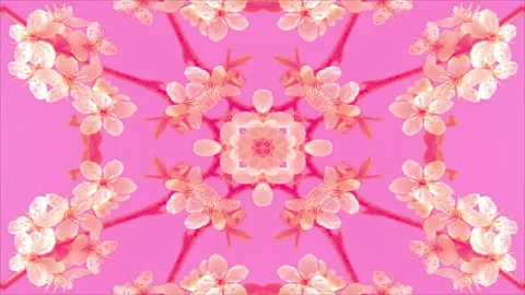 Kaleidoscope Loop Stock Footage 193852742