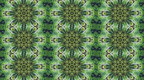 Kaleidoscope mandala abstract Stock Illustration