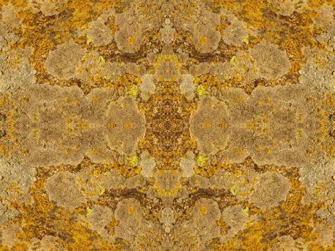 Kaleidoscope moss texture.background. Stock Photos