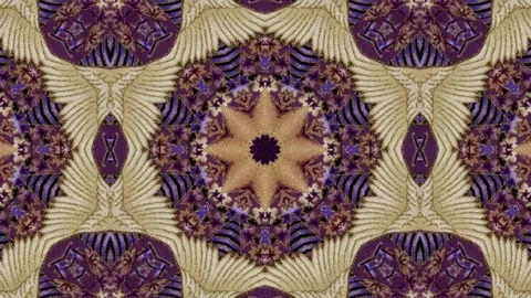 Kaleidoscope motion psychedelic ornament texture background animation colored Stock Footage 255507936