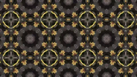 Kaleidoscope motion psychedelic ornament texture background animation colored Stock Footage 255508255