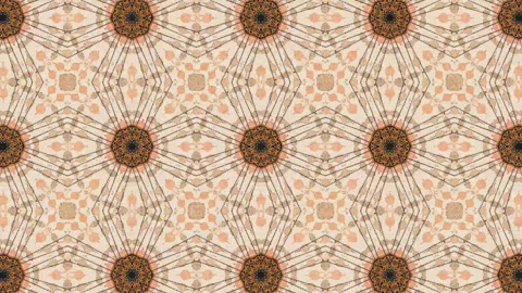 Kaleidoscope motion psychedelic ornament texture background animation colored Stock Footage 255594928