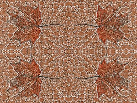 Kaleidoscope pattern of autumn maple leaves Stock Photos