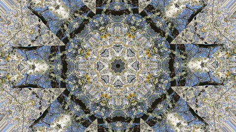 Kaleidoscope pattern cherry blossoms in spring Stock Footage 74368158
