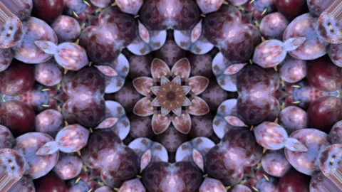 A kaleidoscope pattern made from plums Stock Footage 318799138