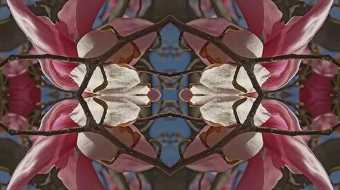 Kaleidoscope pattern from natural spring flower blossom Stock Illustration