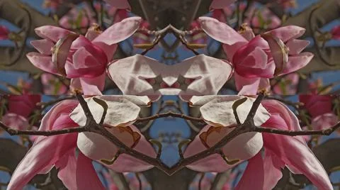 Kaleidoscope pattern from natural spring flower blossom Stock Illustration