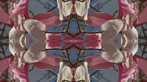 Kaleidoscope pattern from natural spring flower blossom Stock Illustration
