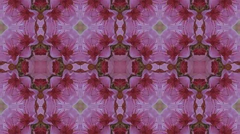 Kaleidoscope pattern from natural spring flower blossom Stock Illustration