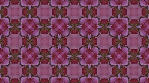 Kaleidoscope pattern from natural spring flower blossom Stock Illustration