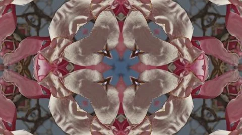 Kaleidoscope pattern from natural spring flower blossom Stock Illustration