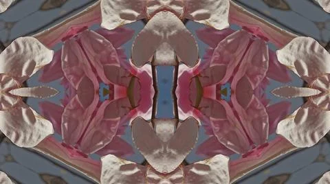 Kaleidoscope pattern from natural spring flower blossom Stock Illustration
