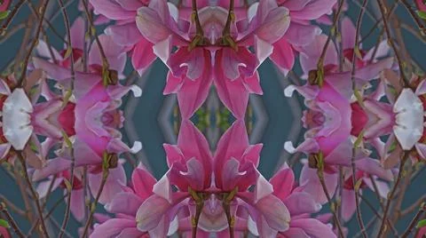 Kaleidoscope pattern from natural spring flower blossom Stock Illustration