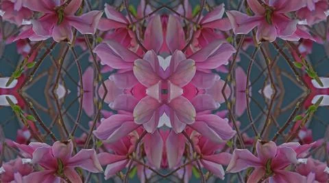 Kaleidoscope pattern from natural spring flower blossom 스톡 일러스트