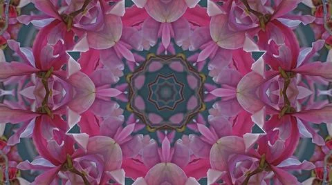 Kaleidoscope pattern from natural spring flower blossom Stock Illustration