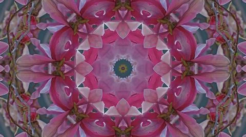 Kaleidoscope pattern from natural spring flower blossom Stock Illustration