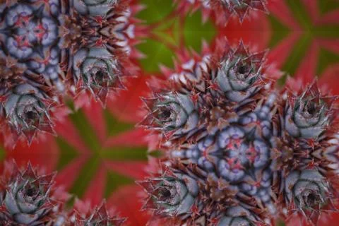 Kaleidoscope pattern Stock Photos