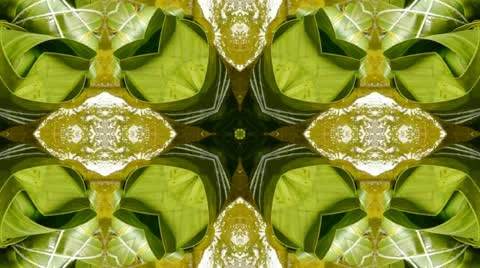 Kaleidoscope pattern of rice dumplings of glutinous rice,dumplings leaf. Stock Footage 11135779