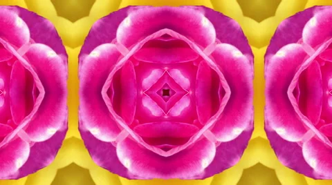 Kaleidoscope of Roses Stockbeeldmateriaal 58668586
