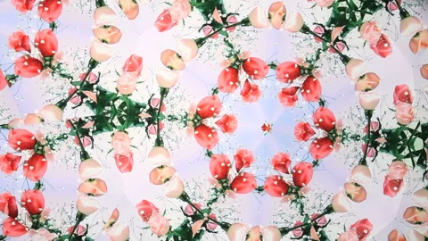 Kaleidoscope of Roses Stock Footage 327414764
