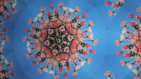 Kaleidoscope of Roses Video stock 327415044