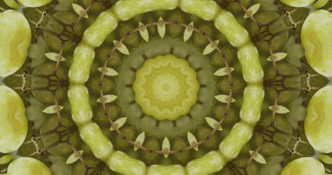 Kaleidoscope shape abstract full green color, Green grapes mandala background Vídeos de archivo 281147615