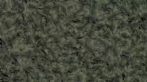 Kaleidoscope wallpaper. Stock Footage 266817168