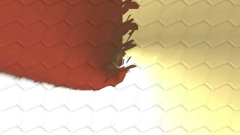 Kaleidoscope wallpaper. Video stock 267065382